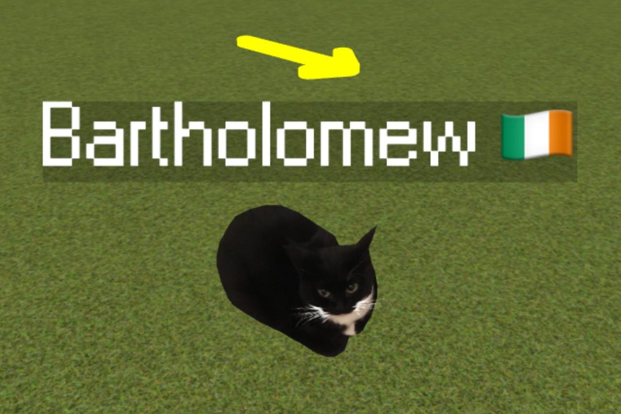 A screenshot of a maxwell cat on maxwellcat.world, named 'Bartholomew', with an Irish flag emoji